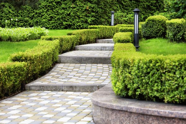 Backyard Remodeling in Pasadena