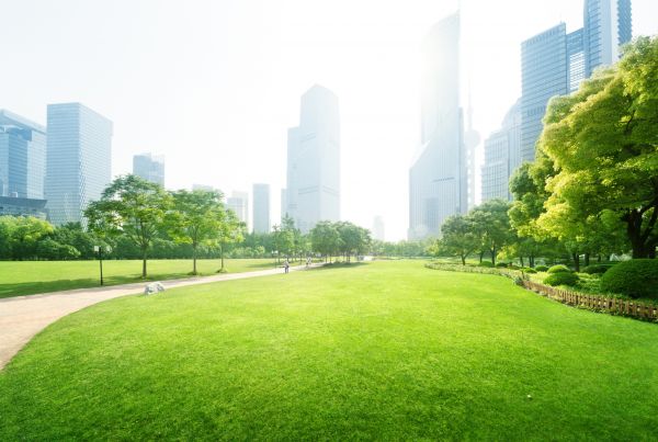 Commercial Landscape Maintenance in Pasadena