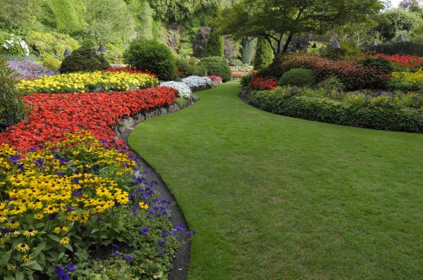 Landscaping Maintenance in Pasadena