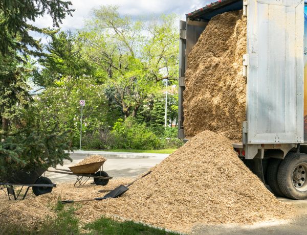 Wood Chips Delivery in Pasadena