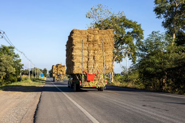 Pine Straw Delivery in Pasadena