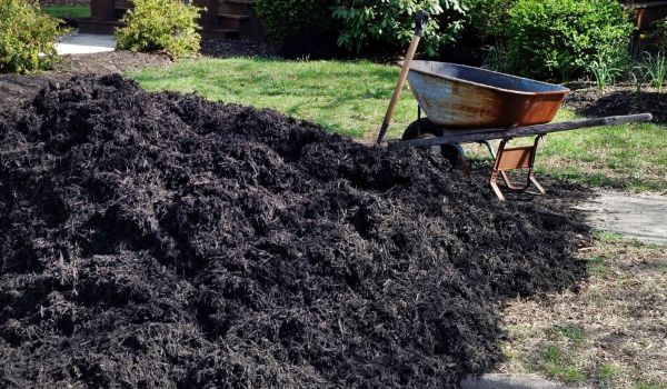 Black Mulch Delivery in Pasadena