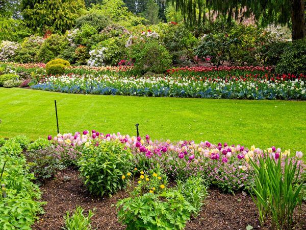 Residential Landscape Design in Pasadena