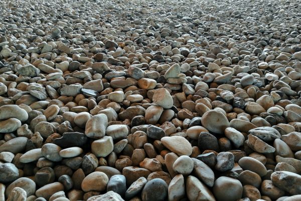 Pea Gravel Landscaping in Pasadena