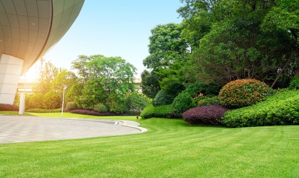 Business Landscape Design in Pasadena