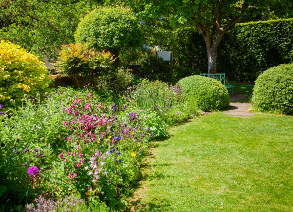 Yard Landscaping Service in Pasadena