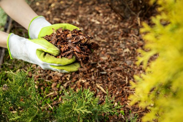 Garden Mulch Delivery in Pasadena