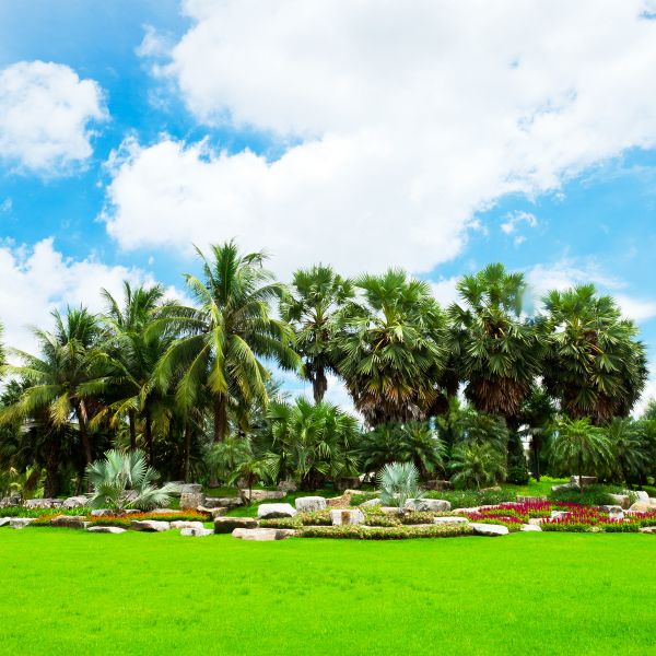 Tropical Landscaping in Pasadena