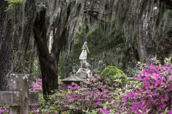 Cemetery Landscaping in Pasadena