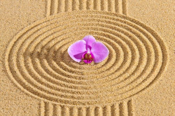 Sand Garden Landscaping in Pasadena