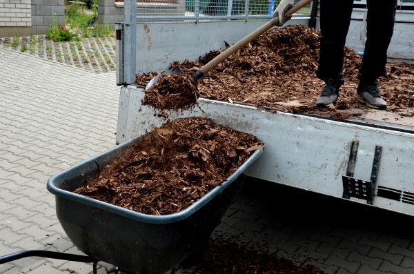 Cypress Mulch Delivery in Pasadena