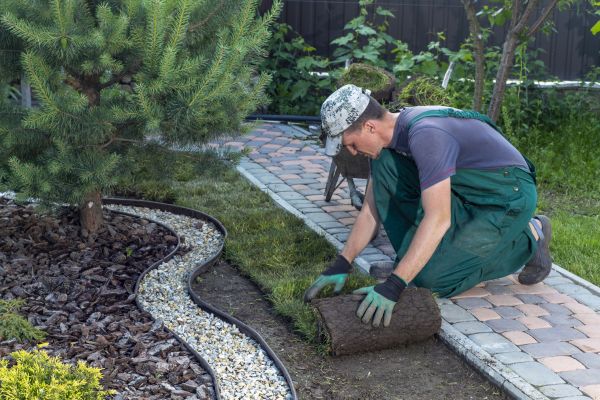 Landscaping Modification in Pasadena