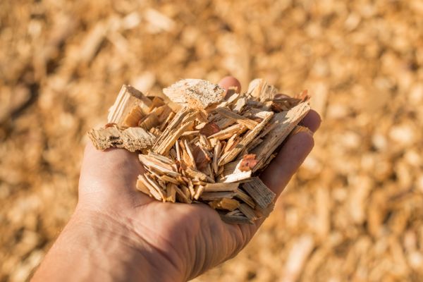 Wood Chips Spreading in Pasadena