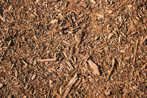 Wood Chips Removal in Pasadena