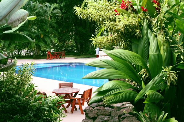 Pool Area Landscaping in Pasadena