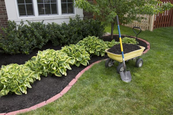 Landscape Mulching in Pasadena