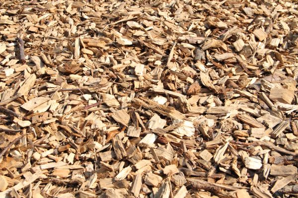 Wood Mulch Delivery in Pasadena