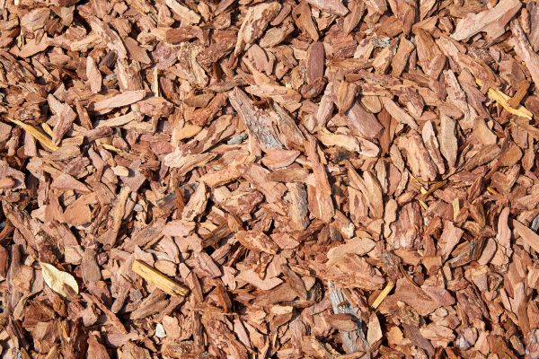 Pine Mulch Delivery in Pasadena