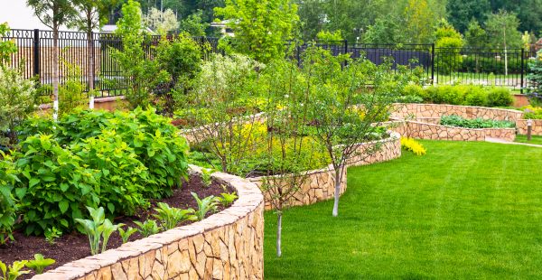 Yard Makeover Service in Pasadena