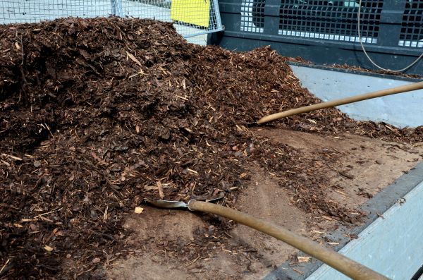 Cedar Bark Delivery in Pasadena