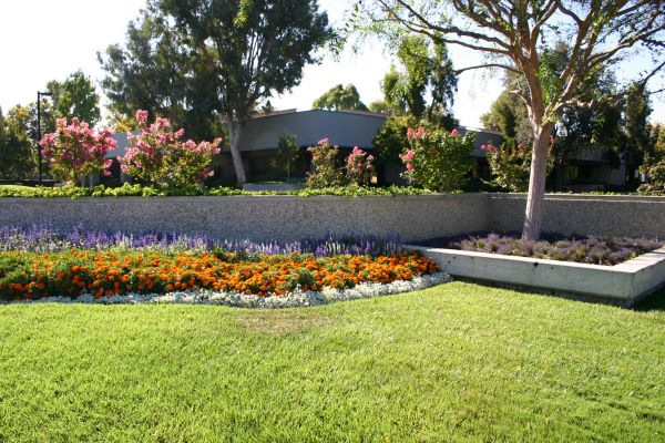 Commercial Landscape Service in Pasadena