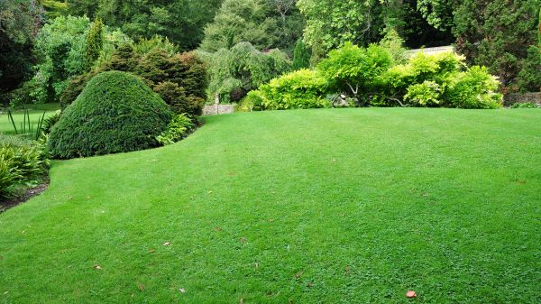 Commercial Landscape Design in Pasadena