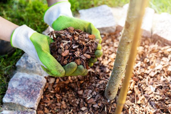 Tree Bark Delivery in Pasadena