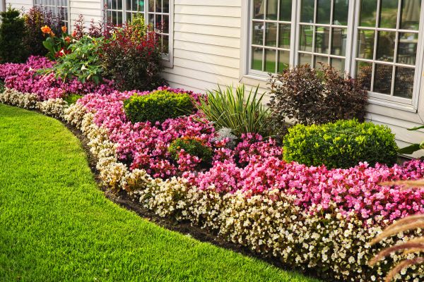 Garden Landscape Design in Pasadena