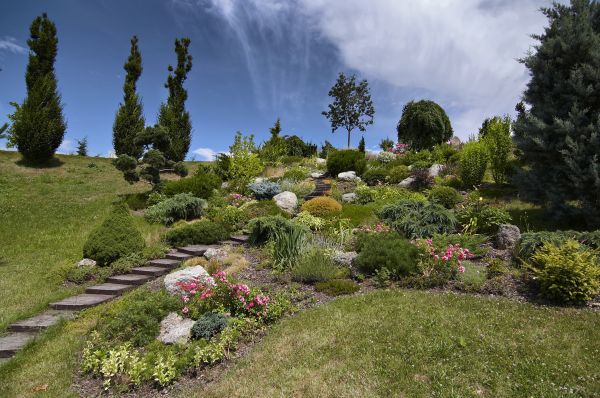 Steep Terrain Landscaping in Pasadena