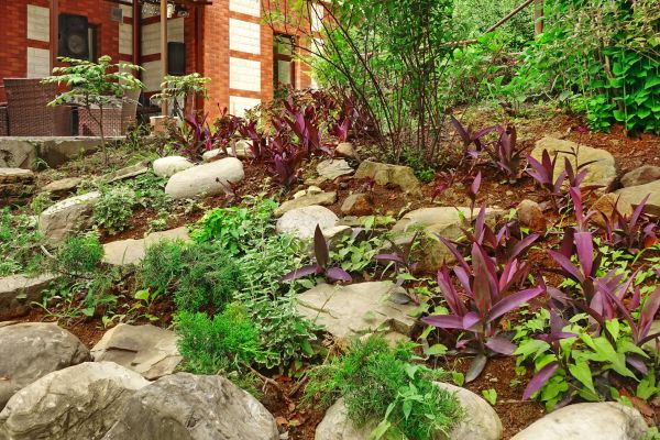 Rock Garden Landscaping in Pasadena