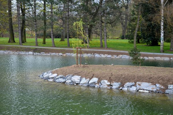 Pond Landscaping Service in Pasadena