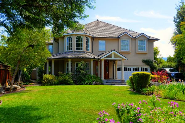 Large Yard Landscaping in Pasadena