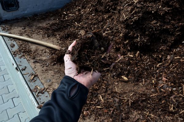 Condo Mulching in Pasadena