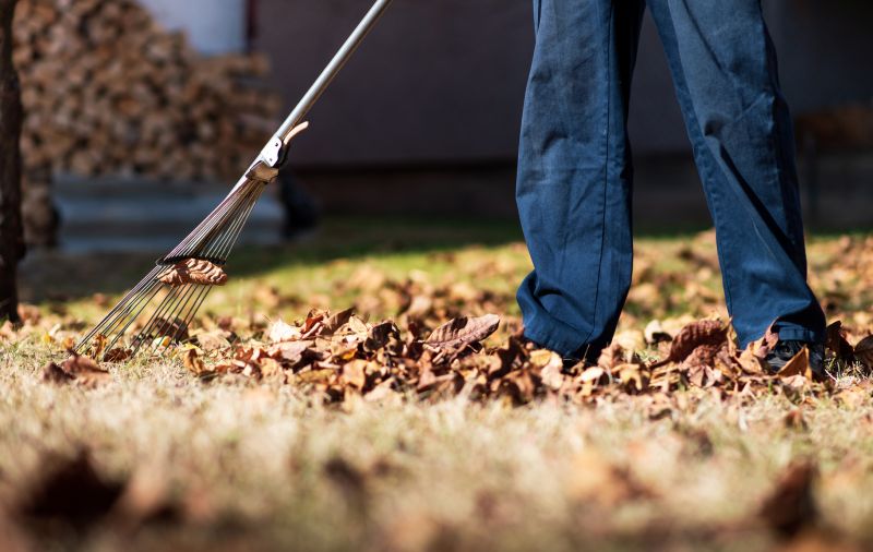 Leaf Raking in Progress